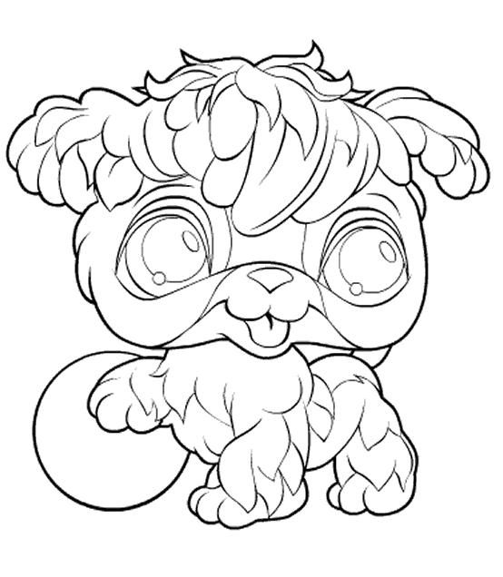 coloriage pet shop chien qui joue a la balle